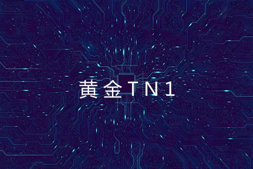 黄金TN1