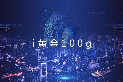 i黄金100g
