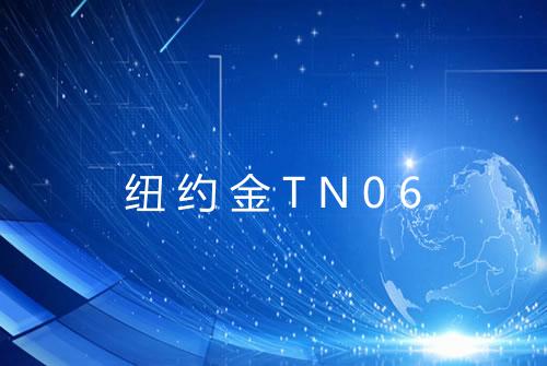 纽约金TN06