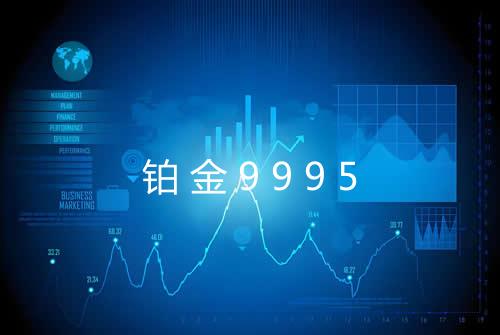 铂金9995