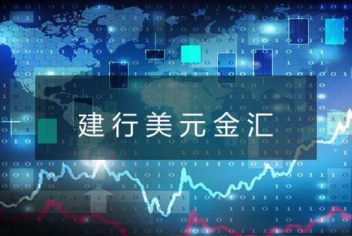 建行美元金汇