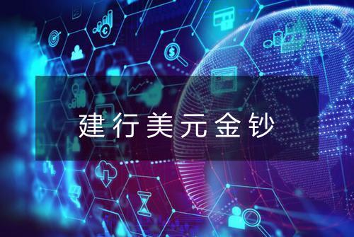 建行美元金钞