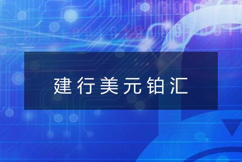 建行美元铂汇