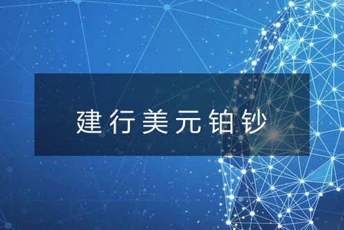 建行美元铂钞