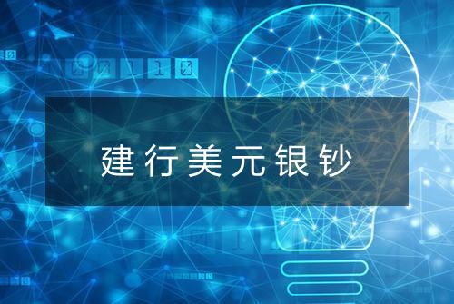 建行美元银钞