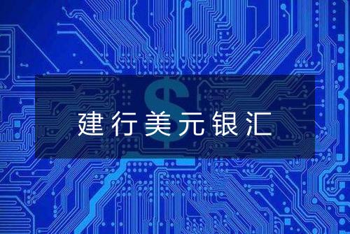 建行美元银汇